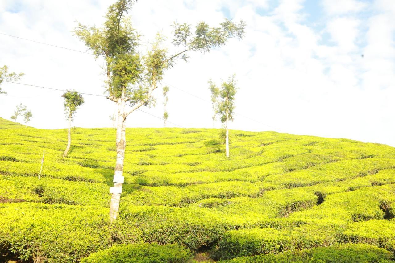 Hotel Casa Montana Munnar Exteriér fotografie