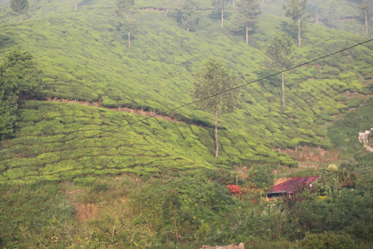 Hotel Casa Montana Munnar Exteriér fotografie
