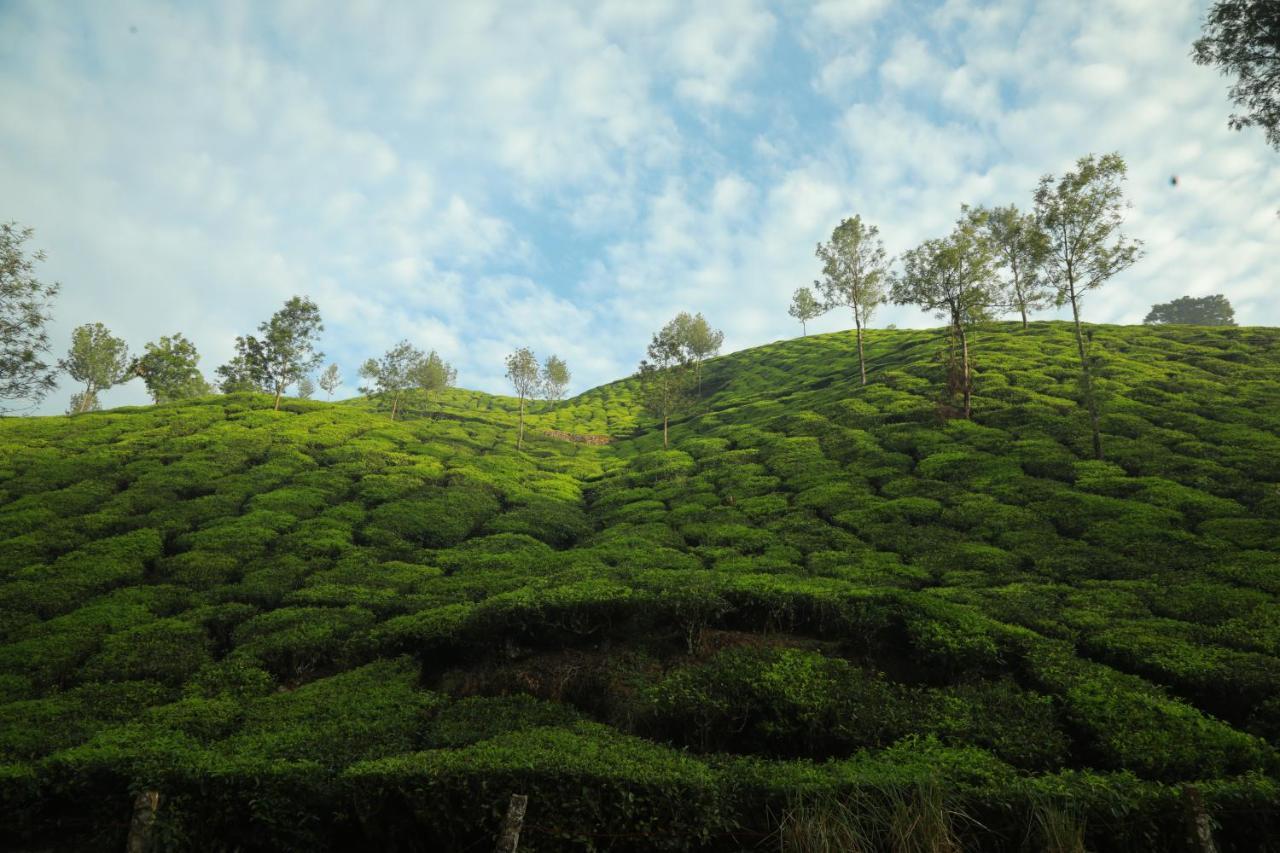 Hotel Casa Montana Munnar Exteriér fotografie