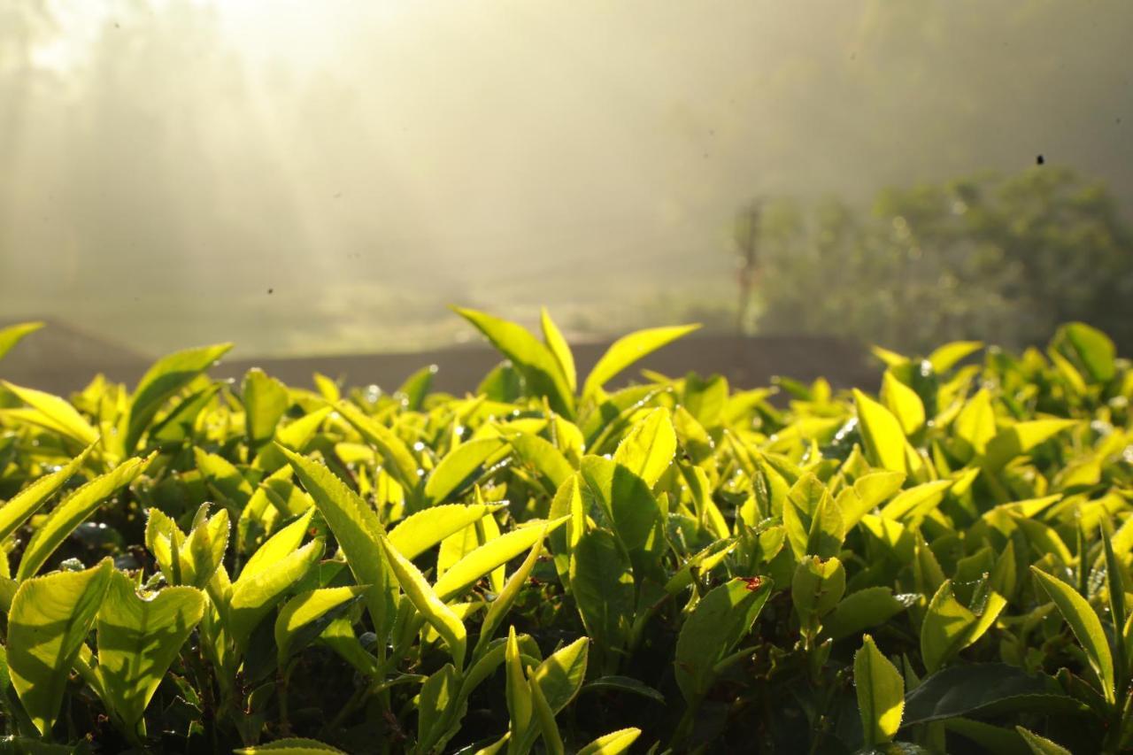Hotel Casa Montana Munnar Exteriér fotografie